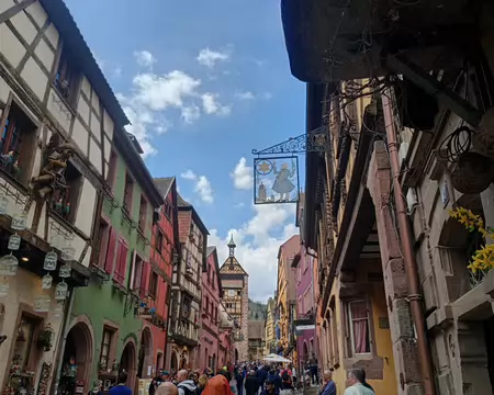 IMG_20260405_133528776_HDR hdr