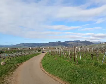 IMG_20260406_091949674_MFNR