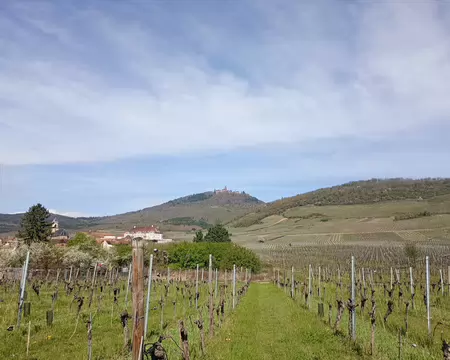 IMG_20260406_110114831_MFNR