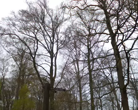 P1220759 Carrefour Vauréal