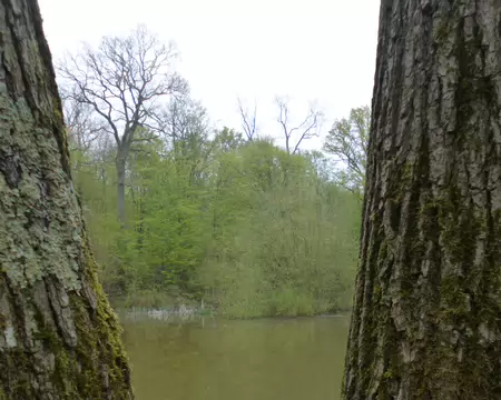 P1220762 Le Petit Etang