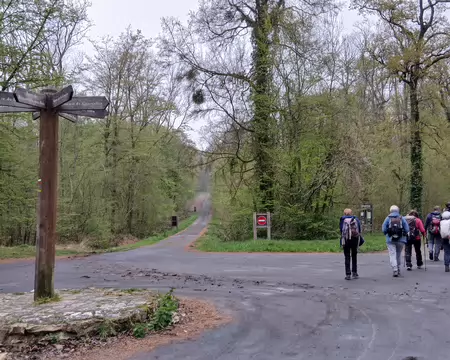 018 Carrefour forestier près des étangs