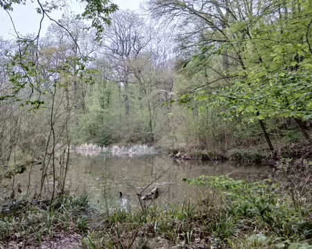 025 Le Petit Etang (1,3 ha) près du Lac bleu. Ces deux étangs artificiels sont gérés par la Fédération du Val d’Oise pour la pêche et la protection du milieu...