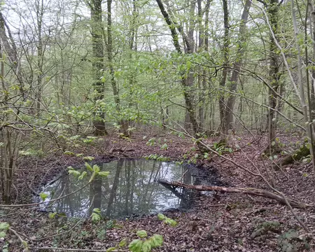 028 Petite mare pour la biodiversité