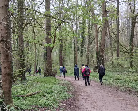 034 Dans le bois de Touteville. Le chemin longe le parc communal de Touteville autrefois propriété du château (Asnières-sur-Oise)