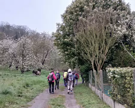 004 Le printemps à Viarmes