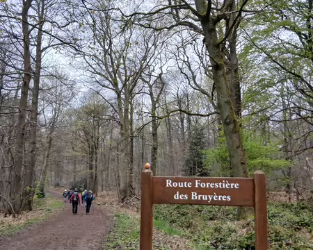 011 Sur la route forestière des Bruyères