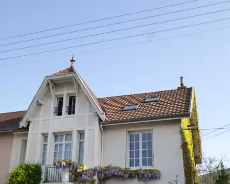 P1220799 Visite de Dijon et architecture de ses pavillons et immeubles