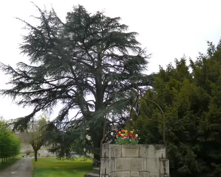 P1220836 Le puits de Jacob