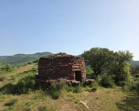 2026-04-11 10-55-31 Capitelle.