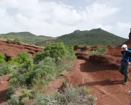 2026-04-11 11-37-39 En arrière plan : le Rocher des Vierges (536m) au programme de l'après-midi.
