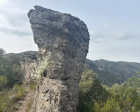 2026-04-11 17-12-29 Sur la côte d'Arboras.