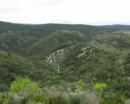 2026-04-12 09-36-43 Vue sur le Val Durand et sur la forêt domaniale de Notre-Dame de Parlatges.