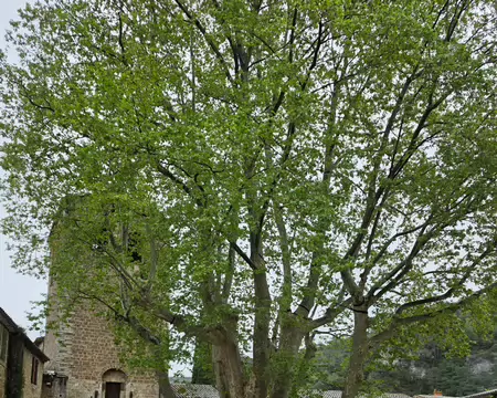 2026-04-13 11-05-29 Place de la Liberté.