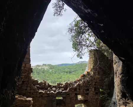 2026-04-13 12-53-59 Baume de l'Olivier.