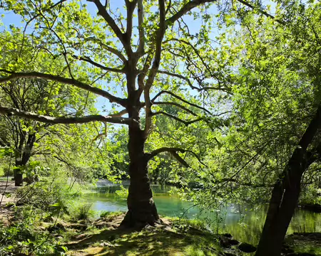 2026-04-14 10-53-48 A la source de la Buèges.