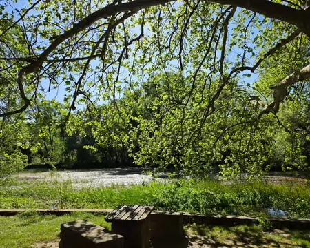 2026-04-14 10-54-47 A la source de la Buèges.