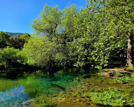 2026-04-14 10-55-59 Source de la Buèges.