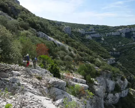 2026-04-17 11-49-38 Descente le long de la barre en suivant les points verts dispersés dans la végétation.