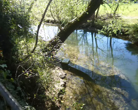 P1220779 Le ru des Cygnes