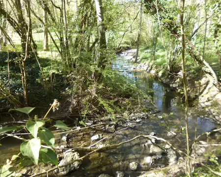 P1220780 Le ru des Cygnes