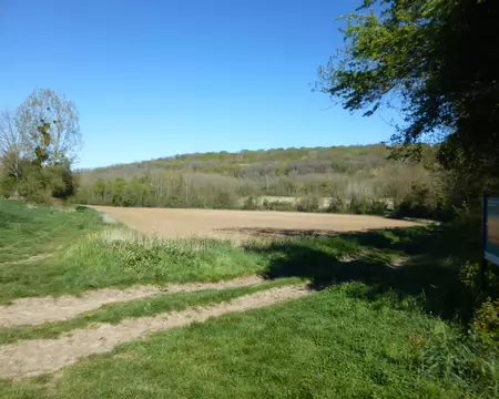 P1220782 Le Bois Le Comte