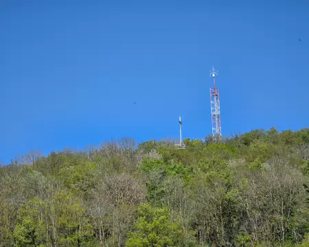 017 La Croix sous la grande antenne est le but pour accéder au signal de Saint-André (934m d'altitude), seulement dépassé par le Crêt Malherbe (946m d'altitude)...