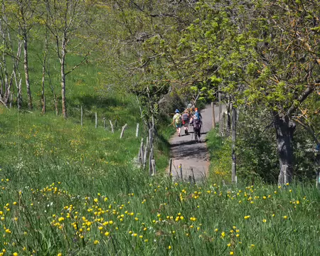 033 En chemin vers Rochefort.