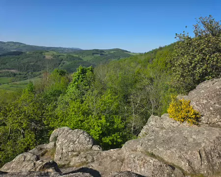 053 Aux rochers de Py Froid (772m d'altitude).