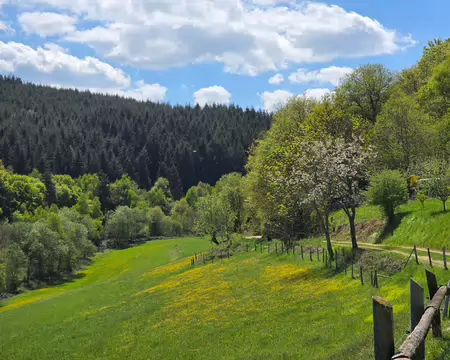 064 Chemin de retour vers Yzeron.