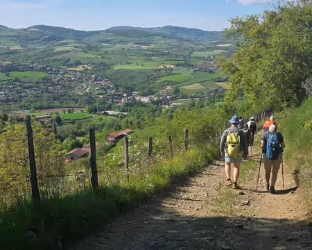 070 Descente au-dessus de la vallée de la Brézenne pour revenir à Courzieu. Monts du Beaujolais au loin.