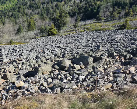 074 Les pierriers sur le massif du Pilat sont des formations géologiques uniques entre – 100000 – 10000 ans par l'éclatement de la roche, souvent appelés Chirats.