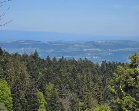079 Au loin les Monts du Beaujolais.