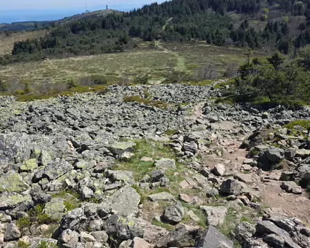 082 Depuis le Crêt de la Perdrix, point culminant du massif à 1434m, vue sur notre chemin de retour jusqu'au fond, l'antenne du Crêt de l'Œillon.