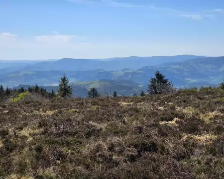 088 Végétation de fin d'hiver et au fond les montagnes ardéchoises.