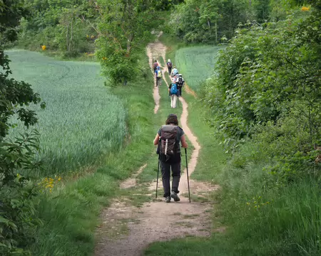 110 Sur le chemin du Piragoy.