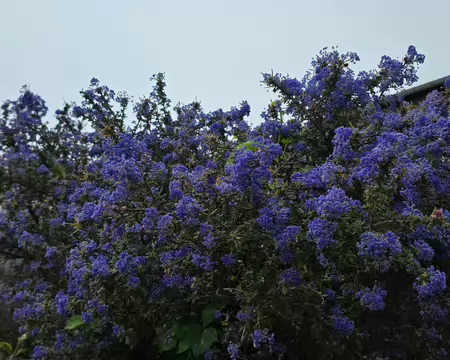 114