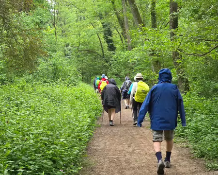 128 Dans le parc du Boulard sous la pluie.