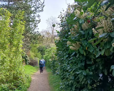 039 L’allée des Plantes dans le quartier des Clairières (Cergy)