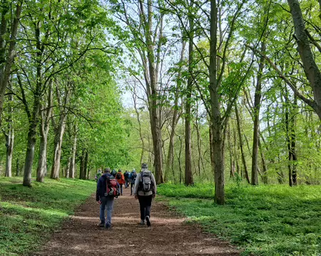 042 Ambiance printanière