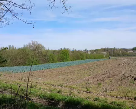 044 La plaine agricole de Pontoise vue du boulevard des Maraichers (quartier des Bocages)