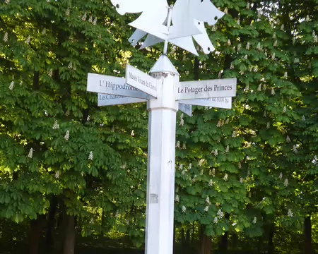 P1220929 Chantilly, capitale du cheval