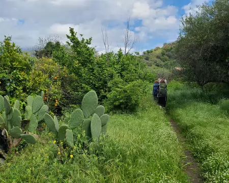 20260423_145541 La recherche de sentier se heurtera à une barrière