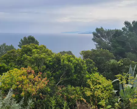 20260429_104623 Paysage sur l'île de Marettimo au large de Trapani