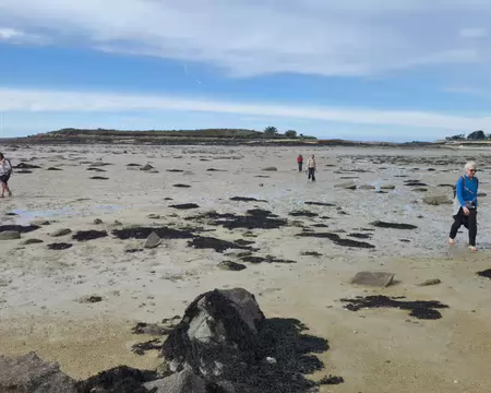 20260404_155528 Estran à marée basse