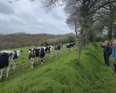 20260405_111627 Curiosité réciproque