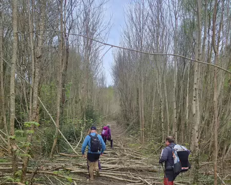 20260405_123051 Parcours d'obstacles