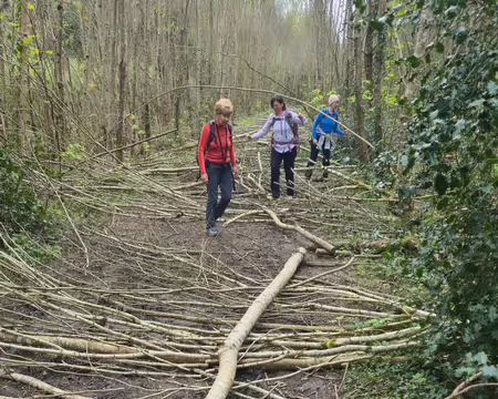 20260405_123211 Parcours d'obstacles