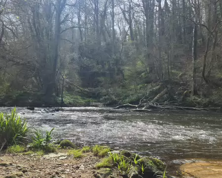 20260405_125952 Pique-nique au bord du Léguer