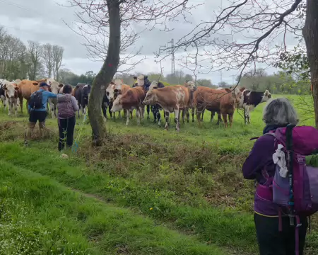 20260405_135720 Curiosité renouvelée